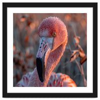 Close Up Of A Pink Flamingo Head In Sunlight