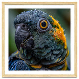 Close Up Of A Wet Macaw Parrot Head thumbnail