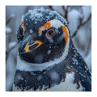 Penguin In Snow Falling Close Up Portrait (Print Only)