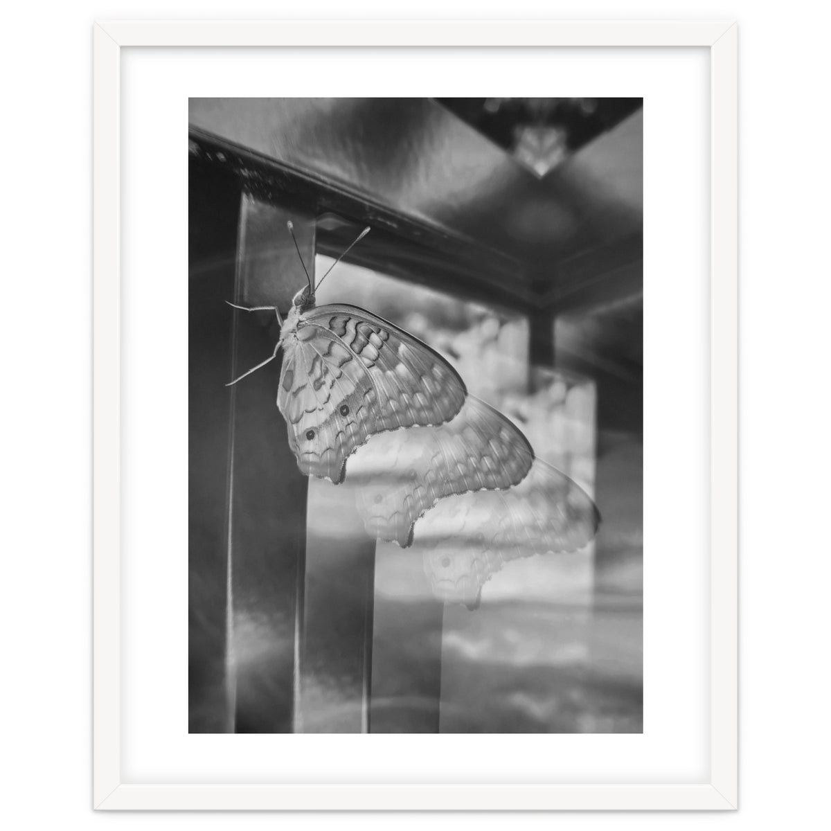 Evolving | Black & White