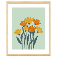 Orange and Yellow Flowers