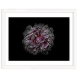 Backyard Flowers No 118 Color Version thumbnail