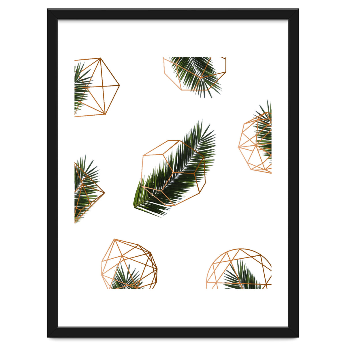 Palm  Geometry V2