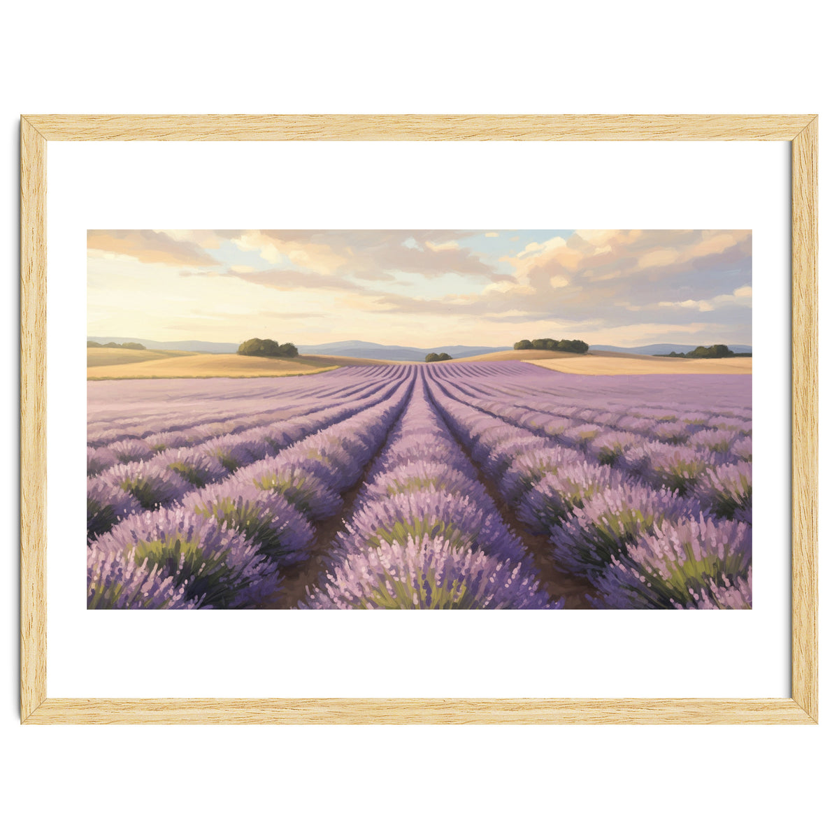 Provençal Sunset: Lavender Field Landscape