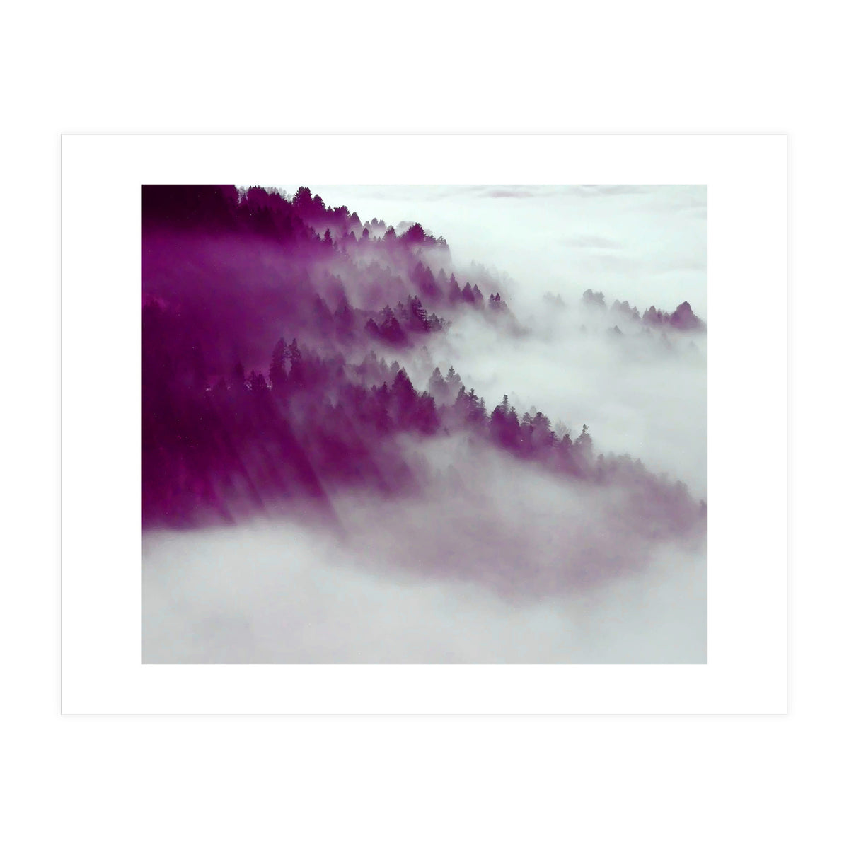 Forest Fog (Print Only)