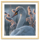 Swan Portrait Dew Drops Morning Light thumbnail