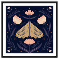 Moth And Flowers