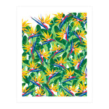 Summer Strelitzia (Print Only) thumbnail