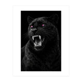 Black leopard with colorful eyes portrait (Print Only) thumbnail