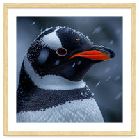 Close Up Penguin Portrait In Snowy Weather