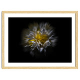 Backyard Flowers No 25 Color Flow Version thumbnail