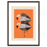 Tangerine Flamingos