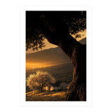The Hill (Print Only) thumbnail