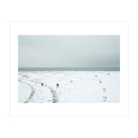 Seagulls in the winter snow beach (Print Only)