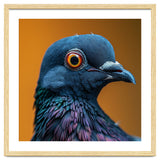 Close Up Of A Pigeon's Head And Neck thumbnail