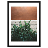 Plant + Copper thumbnail