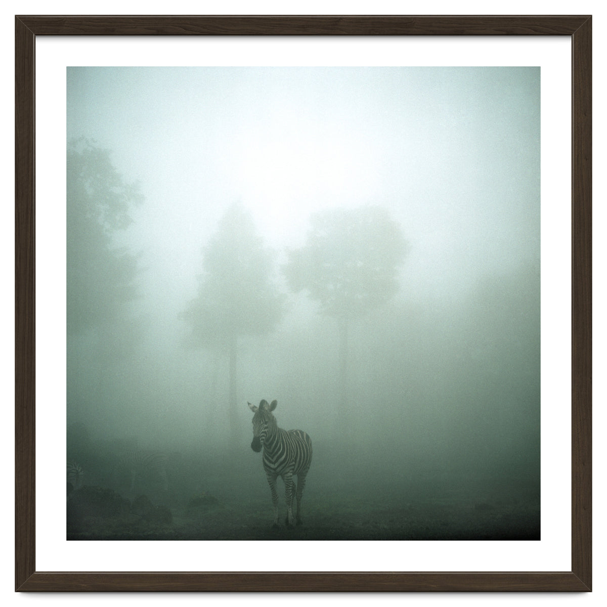 Silence of breath - 01