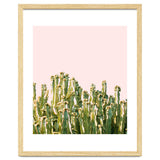 Cactus Blush #society6 #decor #buyart thumbnail