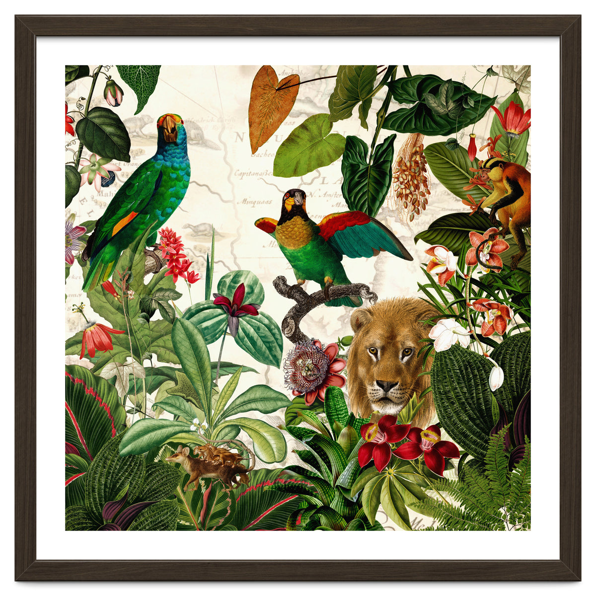 Exotic Lush Jungle And Wild Animals Landscape