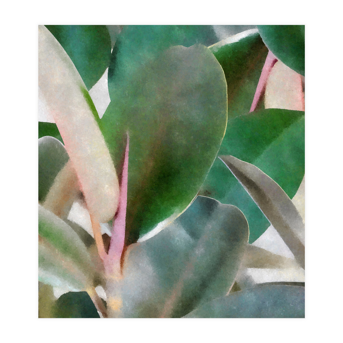 Preconceived Purity (Print Only)