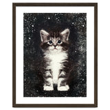 Bicolor Cute Kitten Portrait thumbnail