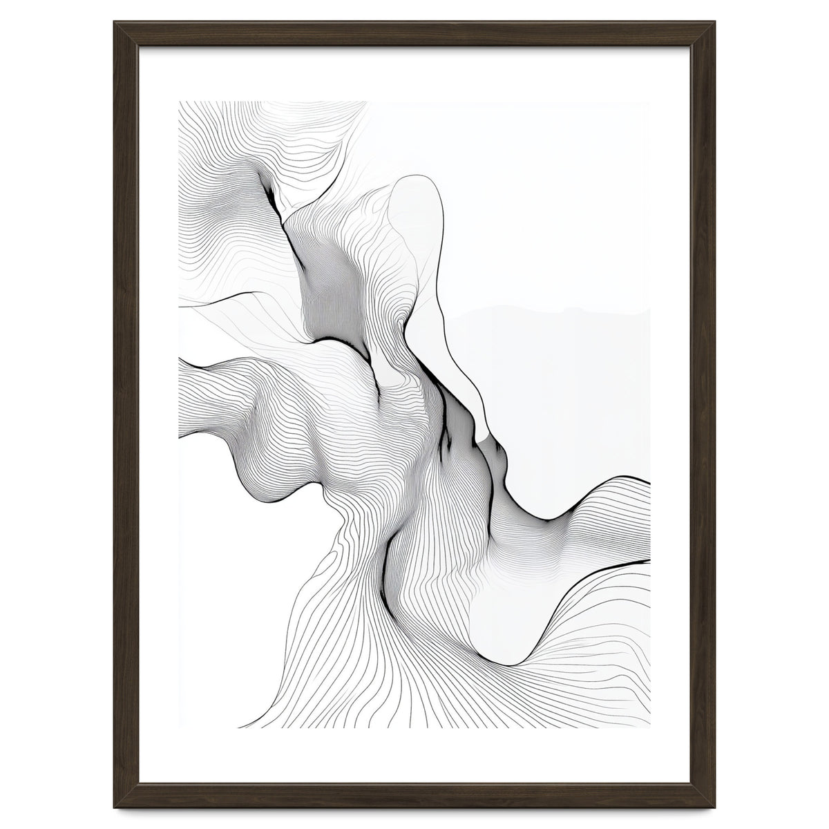 Abstract Black And White Flowing Lines