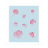 Jellyfish (Print Only) thumbnail