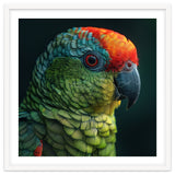 Close Up Colorful Parrot Bird Feather thumbnail