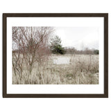 Abandoned Sofa in the middle of nowhere thumbnail