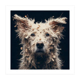 Old Dog 06 (Print Only) thumbnail