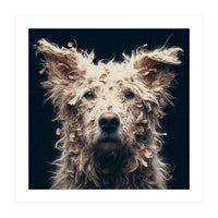 Old Dog 06 (Print Only)