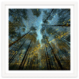 Enchanted Night Forest with Glowing Fireflies thumbnail
