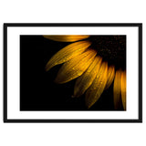 Backyard Flowers No 28 Sunflower thumbnail