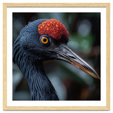 Black Crane Bird Head With Red Crown And Raindrops thumbnail
