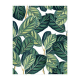 Botany #society6 #decor #buyart (Print Only) thumbnail