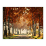 Red autumn (Print Only) thumbnail