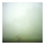Silence of breath - 06 (Print Only) thumbnail