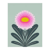 Chrysanthemum - turquoise and pink (Print Only) thumbnail