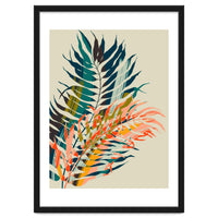 Colorful Palm Leaves