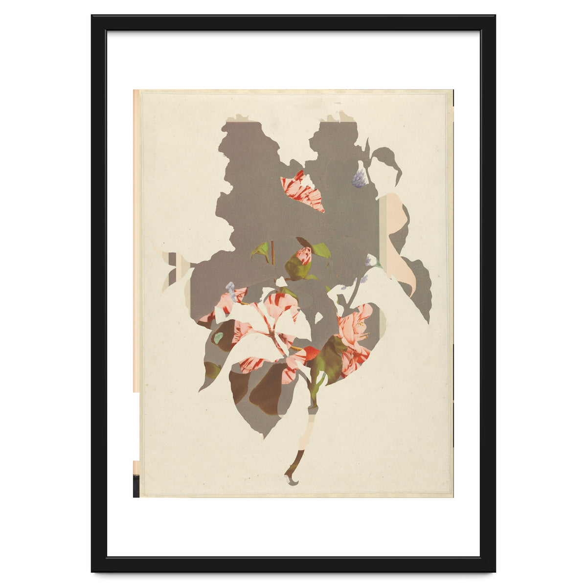 The First Plant · M2