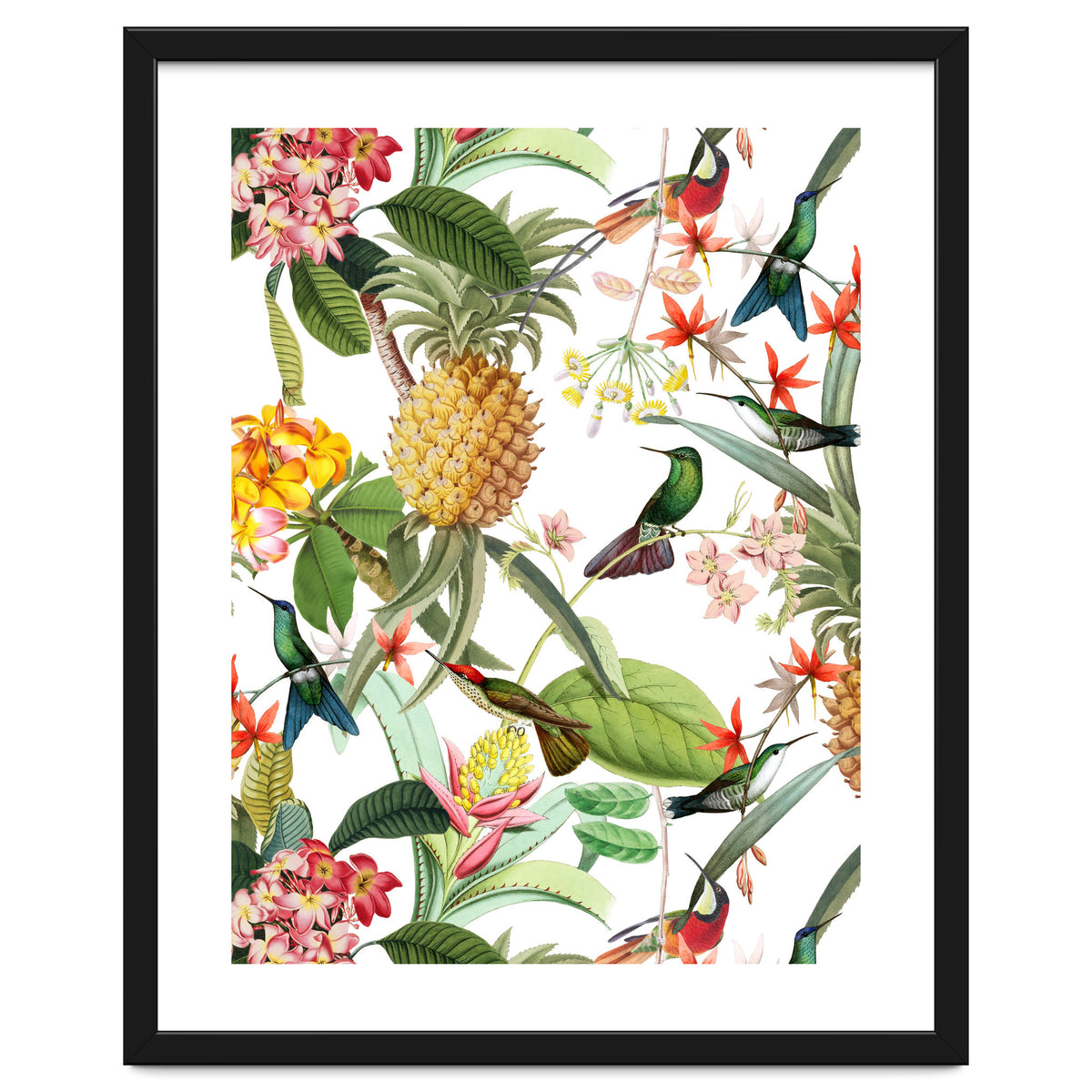 Hummingbirds in tropical Jungle