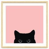 Black cat thumbnail