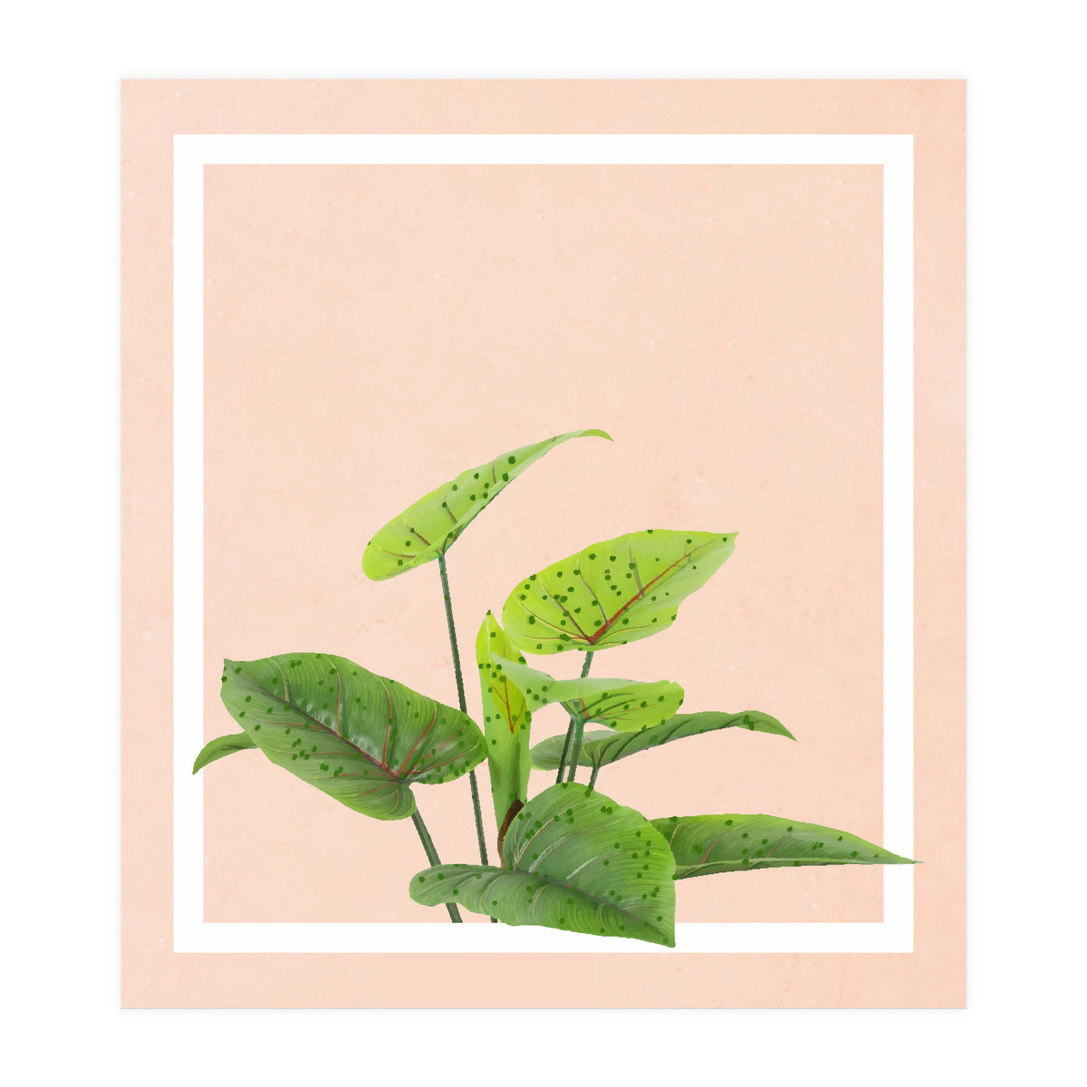 Botanical Art (Print Only)