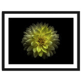 Backyard Flowers No 128 Color Version thumbnail