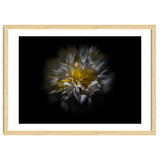 Backyard Flowers No 25 Color Flow Version thumbnail