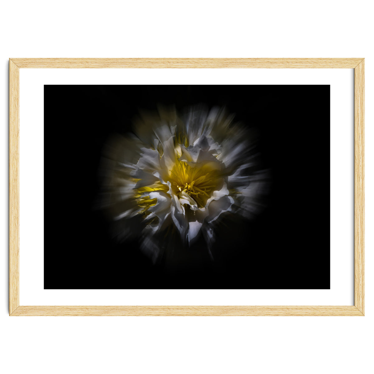 Backyard Flowers No 25 Color Flow Version