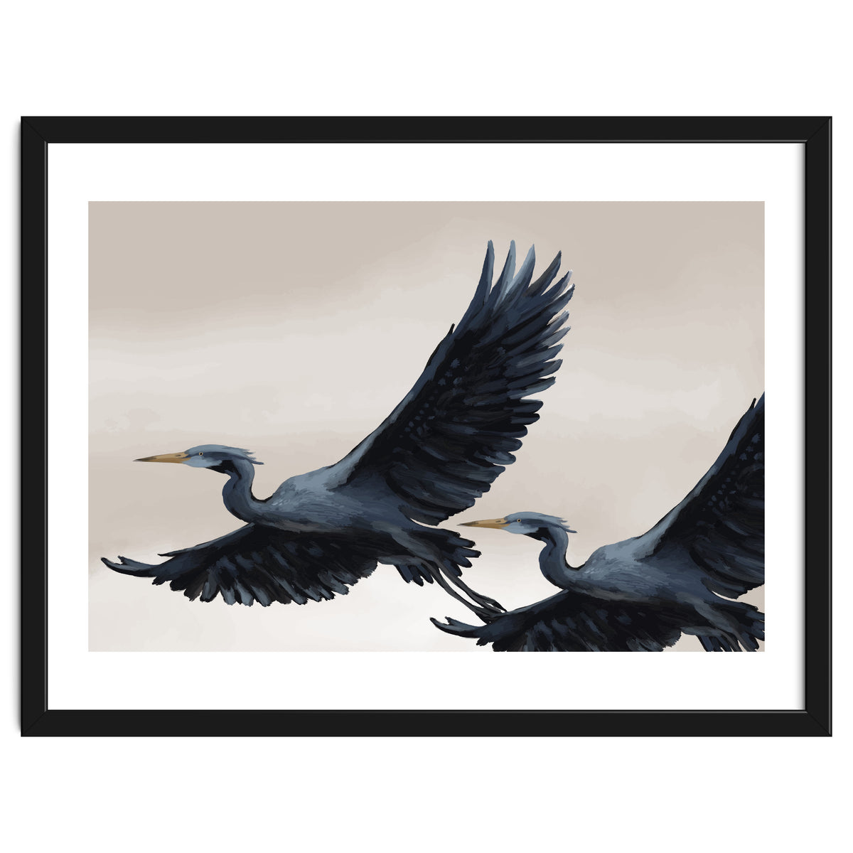 Migrating Herons