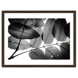 Branches and Leaves, 2016, 3 thumbnail