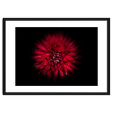 Backyard Flowers No 45 Color Flow Version thumbnail