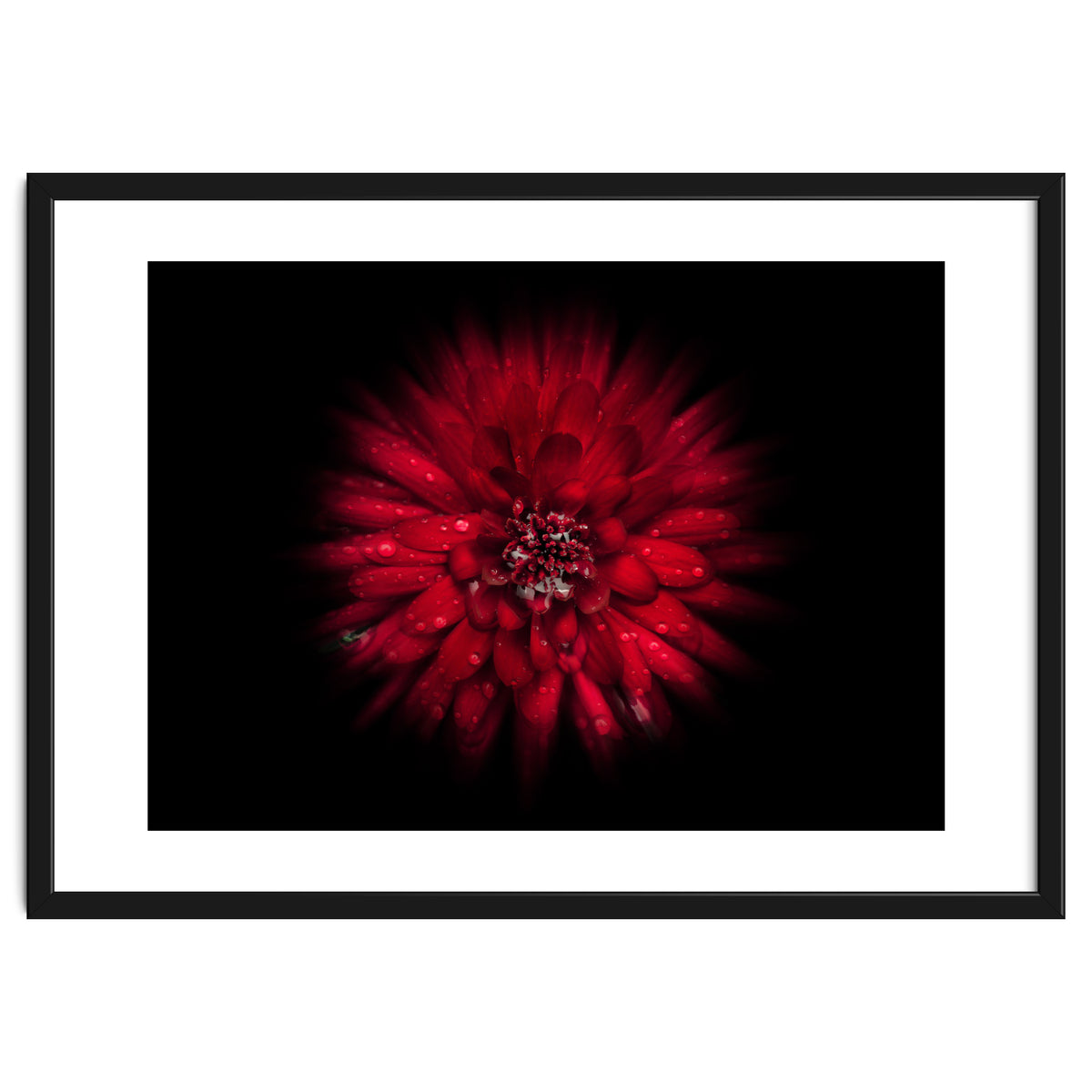 Backyard Flowers No 45 Color Flow Version